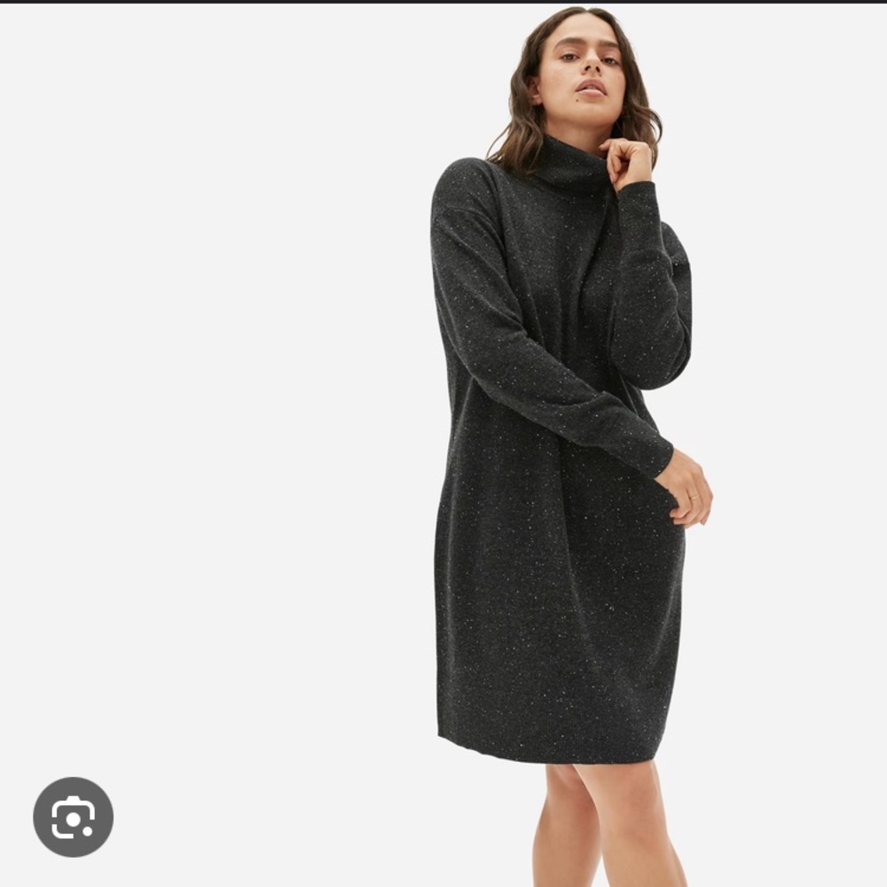 Everlane cashmere sweater dress